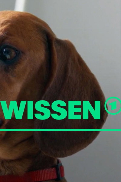 Póster de [W] wie Wissen
