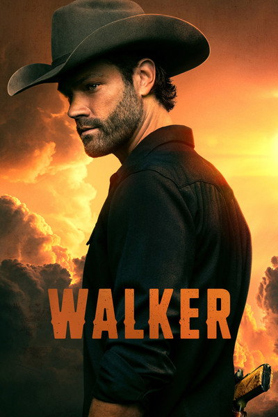 Póster de Walker