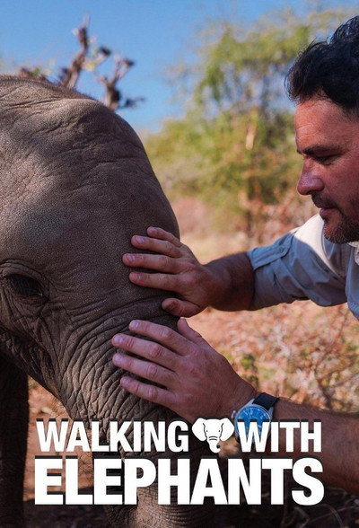 Póster de Walking with Elephants