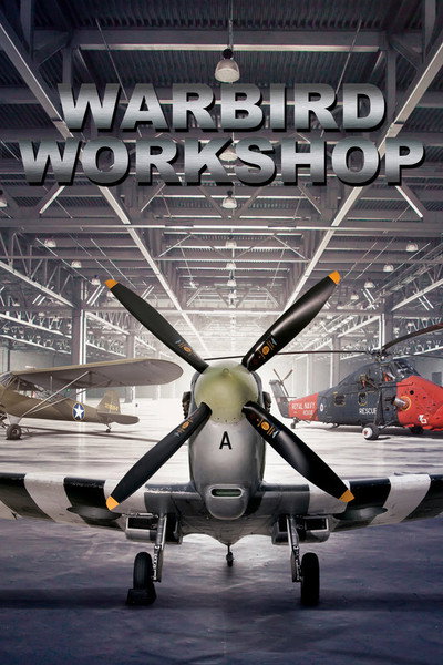 Póster de Warbird Workshop