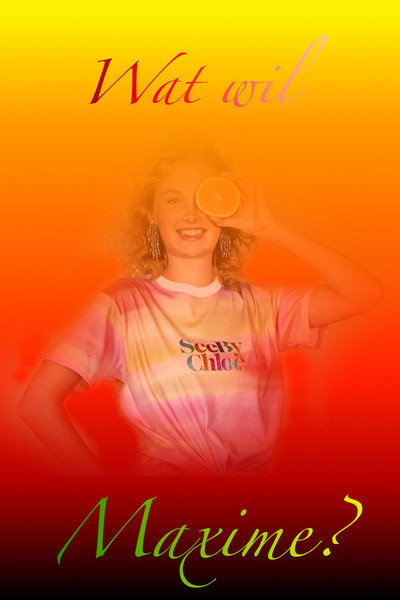 Póster de Wat wil Maxime?