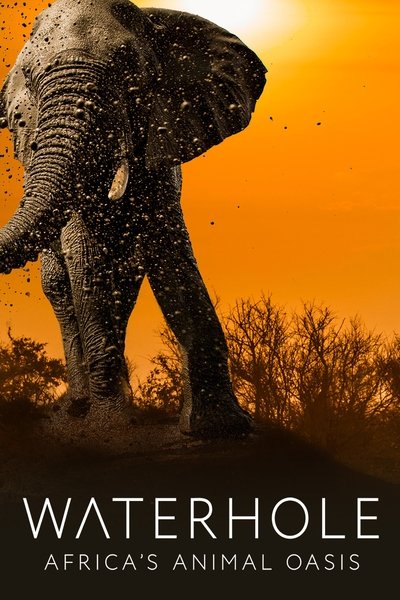 Póster de Waterhole: Africa's Animal Oasis