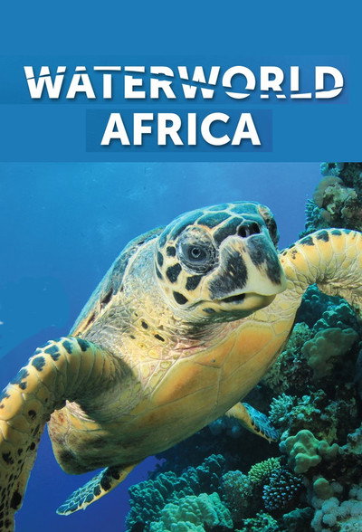 Póster de Waterworld Africa