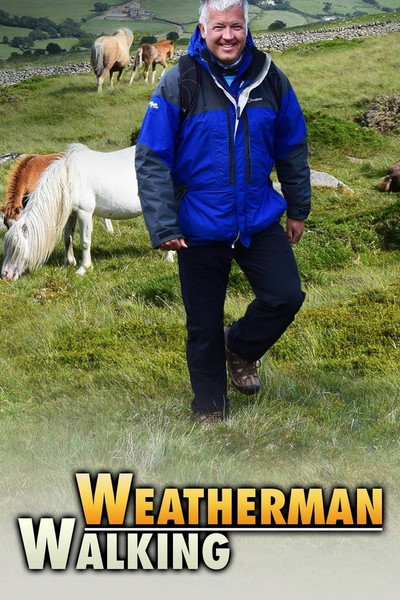 Póster de Weatherman Walking