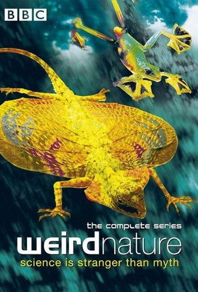 Póster de Weird Nature