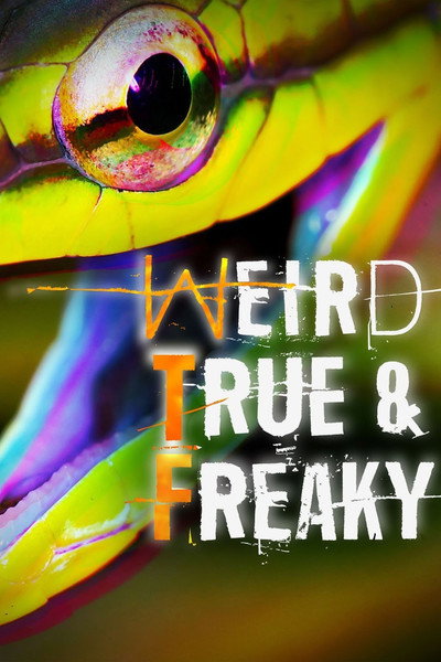 Póster de Weird, True & Freaky