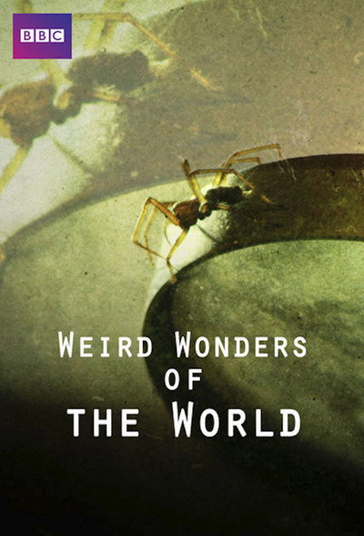 Póster de Weird Wonders of the World