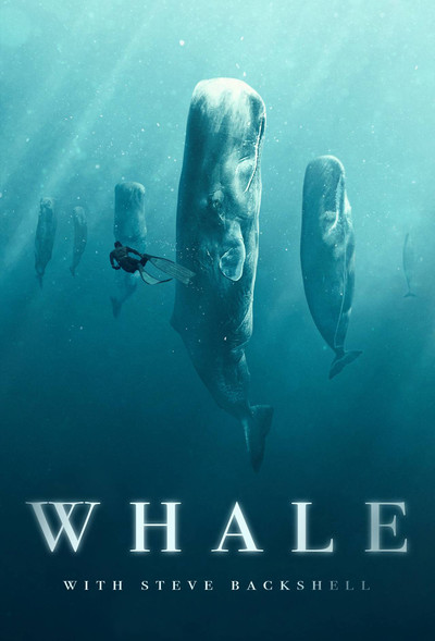 Póster de Whale with Steve Backshall