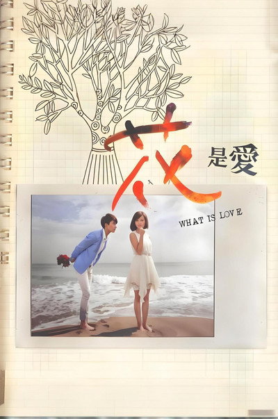 Póster de What Is Love