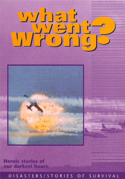Póster de What Went Wrong