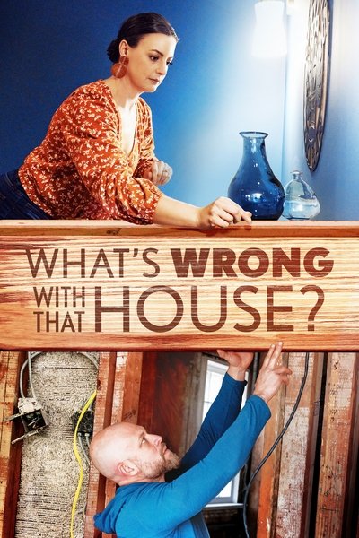 Póster de What's Wrong with That House?