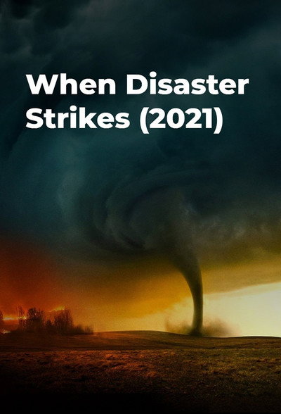 Póster de When Disaster Strikes