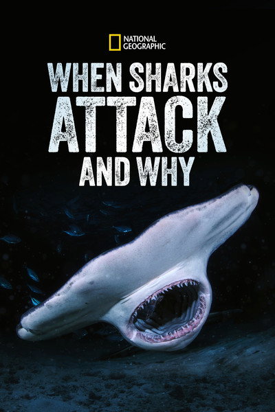 Póster de When Sharks Attack... And Why
