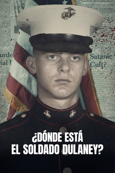 Póster de Where Is Private Dulaney?