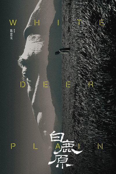 Póster de White Deer Plain