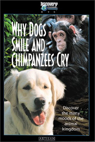 Póster de Why Dogs Smile & Chimpanzees Cry