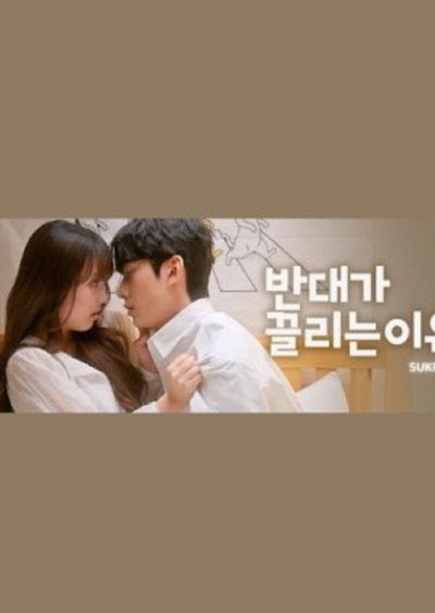 Póster de Why Opposites Attract 2