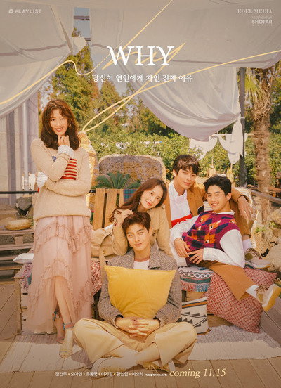 Póster de W.H.Y.: What Happened to Your Relationship