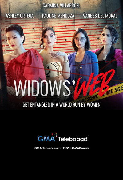 Póster de Widows' Web