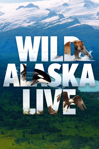 Póster de Wild Alaska Live