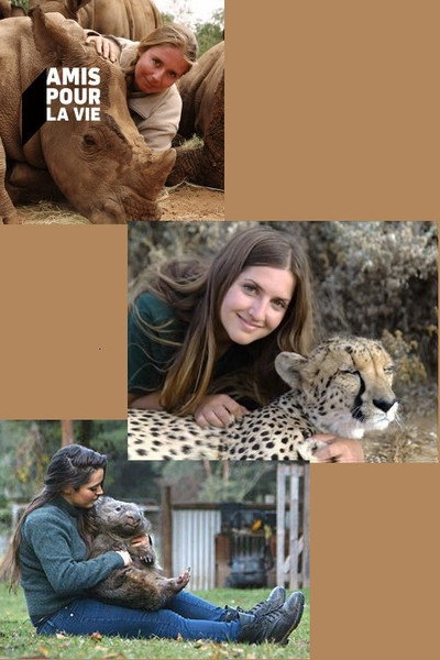 Póster de Wild Animal Reunions