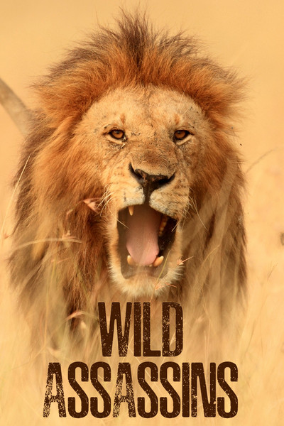 Póster de Wild Assassins