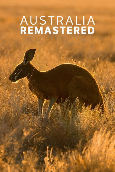Póster de Wild Australians