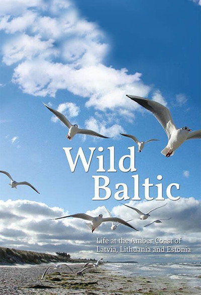 Póster de Wild Baltic