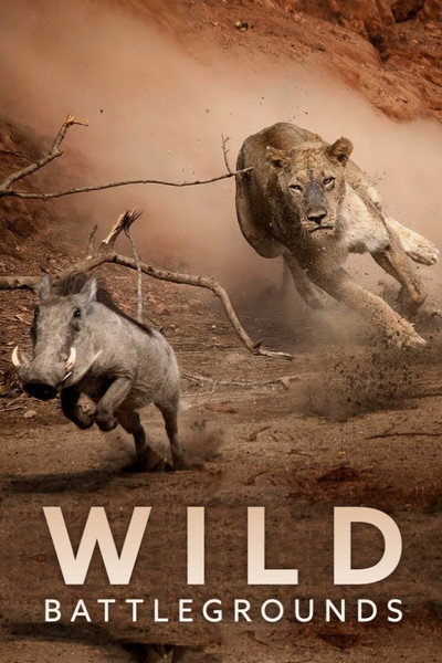 Póster de Wild Battlegrounds