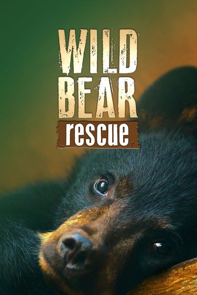 Póster de Wild Bear Rescue