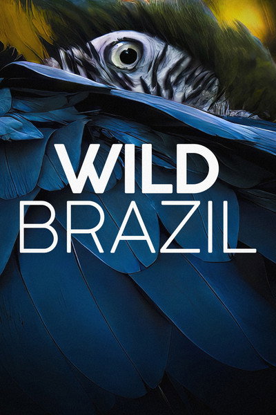 Póster de Wild Brazil