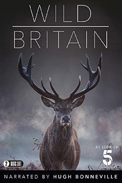 Póster de Wild Britain