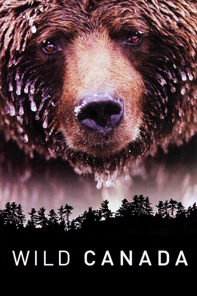 Póster de Wild Canada