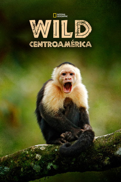 Póster de Wild Central America