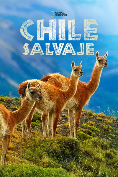 Póster de Wild Chile