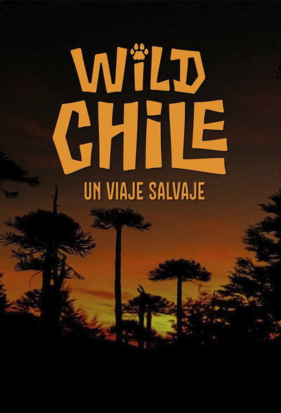 Póster de Wild Chile