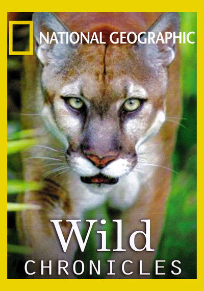 Póster de Wild Chronicles