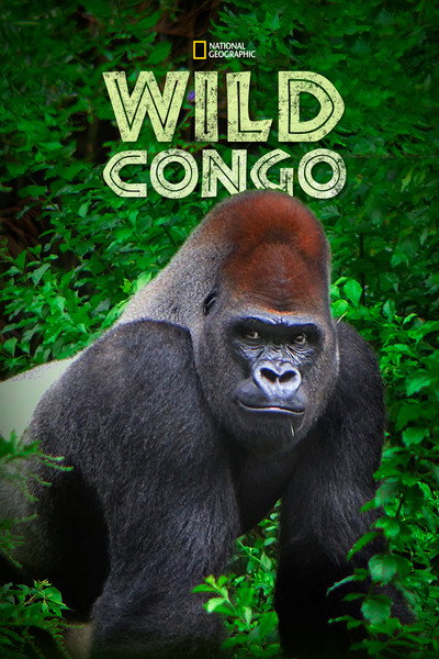 Póster de Wild Congo