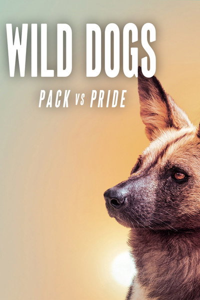 Póster de Wild Dogs: Pack Vs. Pride