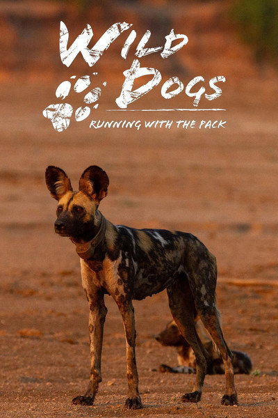 Póster de Wild Dogs: Running with the Pack