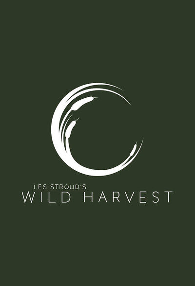 Póster de Wild Harvest