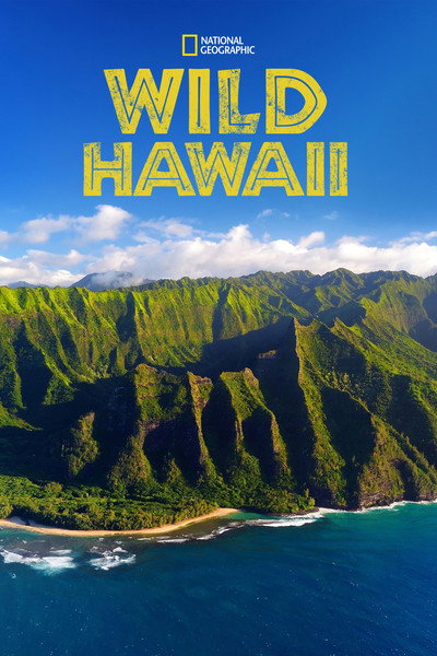 Póster de Wild Hawaii