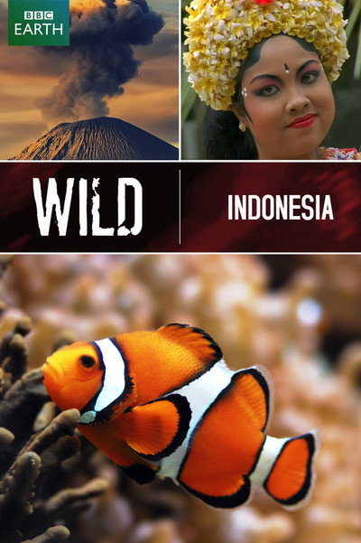 Póster de Wild Indonesia