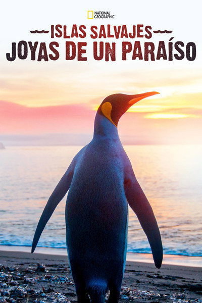 Póster de Wild Islands