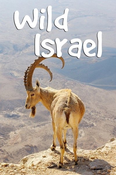 Póster de Wild Israel