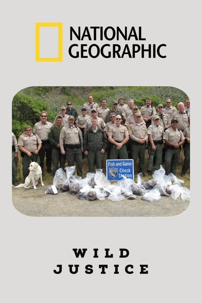 Póster de Wild Justice
