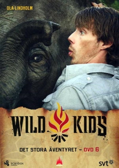 Póster de Wild Kids