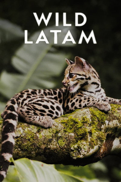Póster de Wild Latam