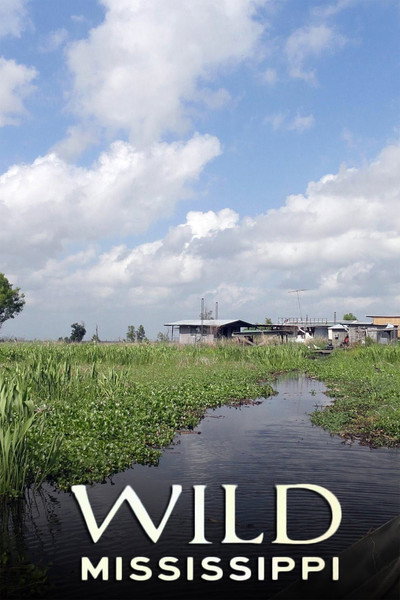 Póster de Wild Mississippi
