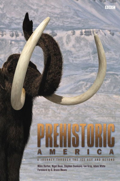Póster de Wild New World